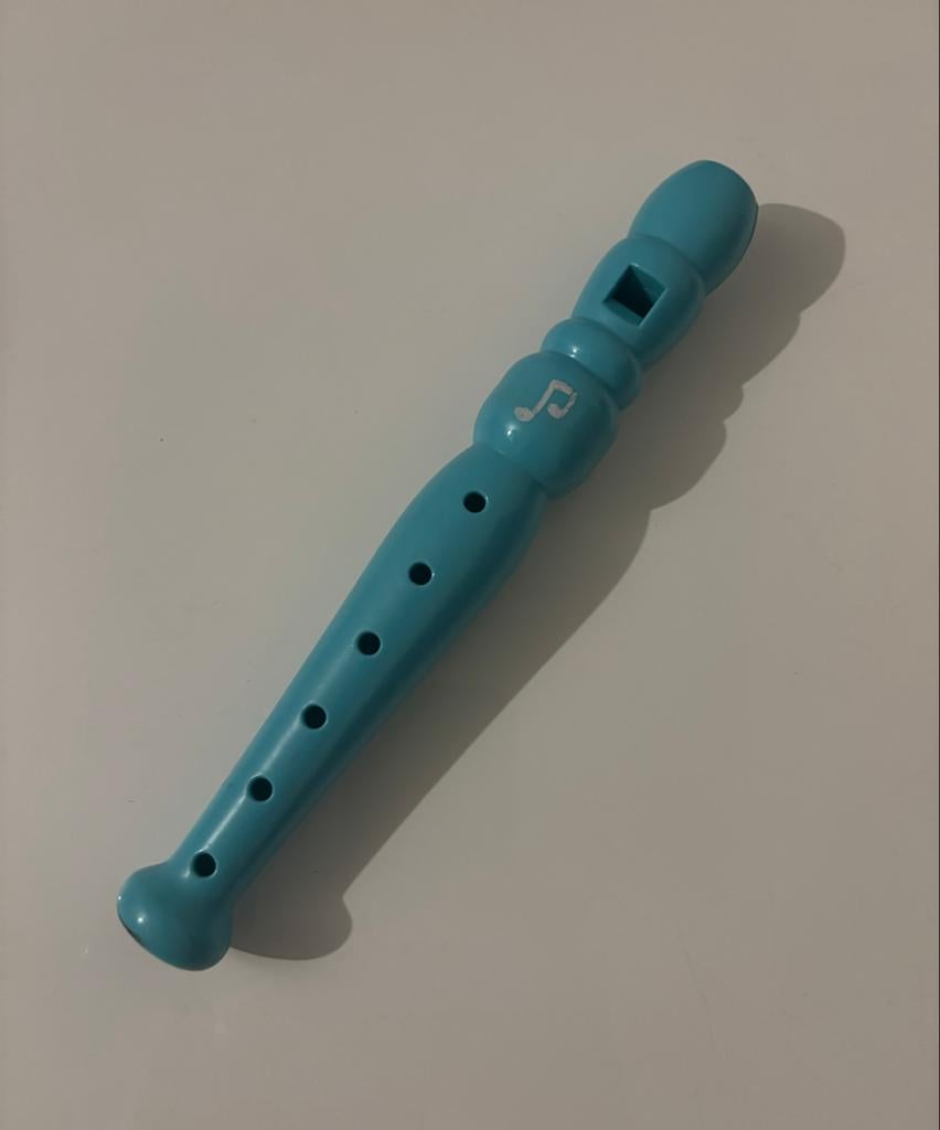 Muziek instrumenten set: fluit, mondharmonica, samba ballen, Ophalen, Zo goed als nieuw, Ontdekken, Met geluid