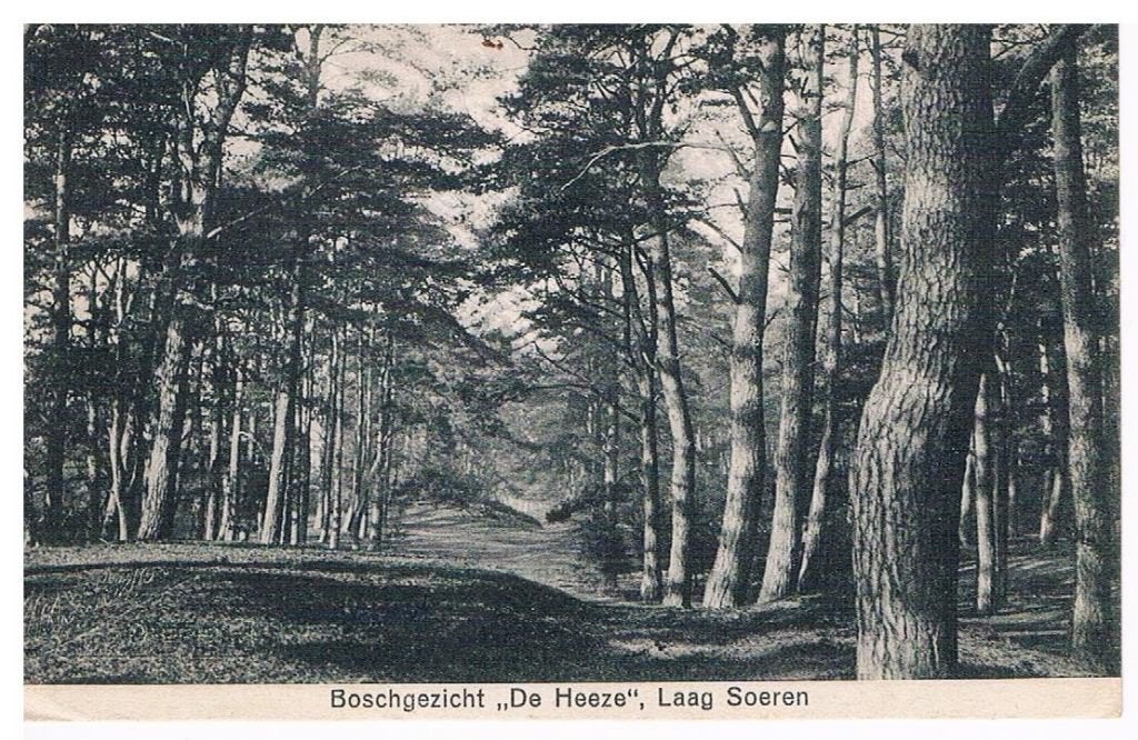 Laag Soeren. Boschgezicht 'De Heeze', Verzamelen, Ansichtkaarten | Nederland, Ophalen of Verzenden, Voor 1920, Gelopen, Gelderland