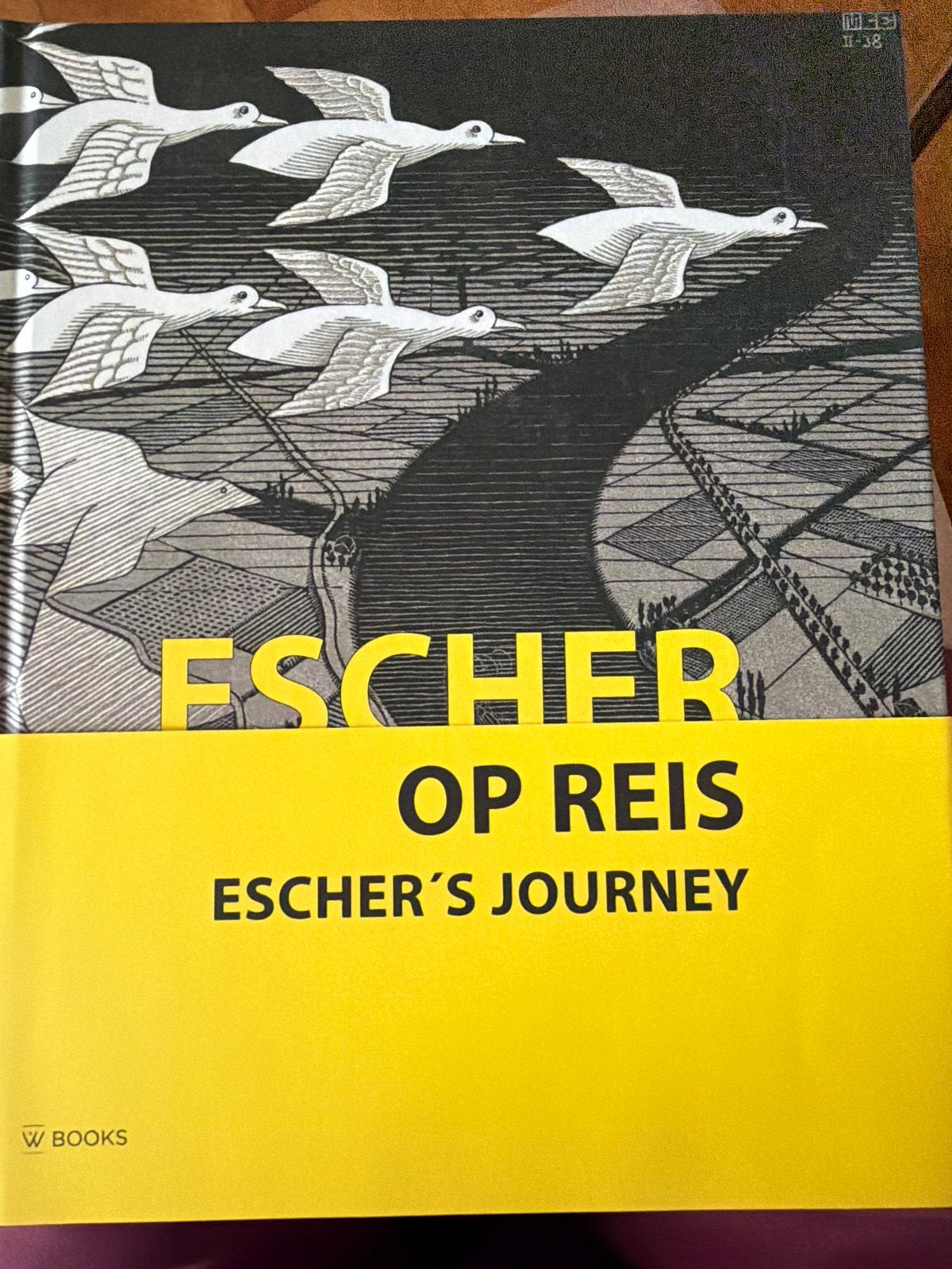 Escher op Reis - Prachtig Kunstboek, Ophalen of Verzenden, Zo goed als nieuw, Schilder- en Tekenkunst