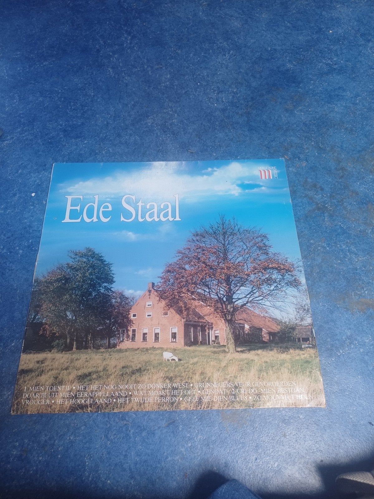 Ede Staal - Mien toentje lp, Gebruikt, Ophalen of Verzenden, Levenslied of Smartlap, 12 inch