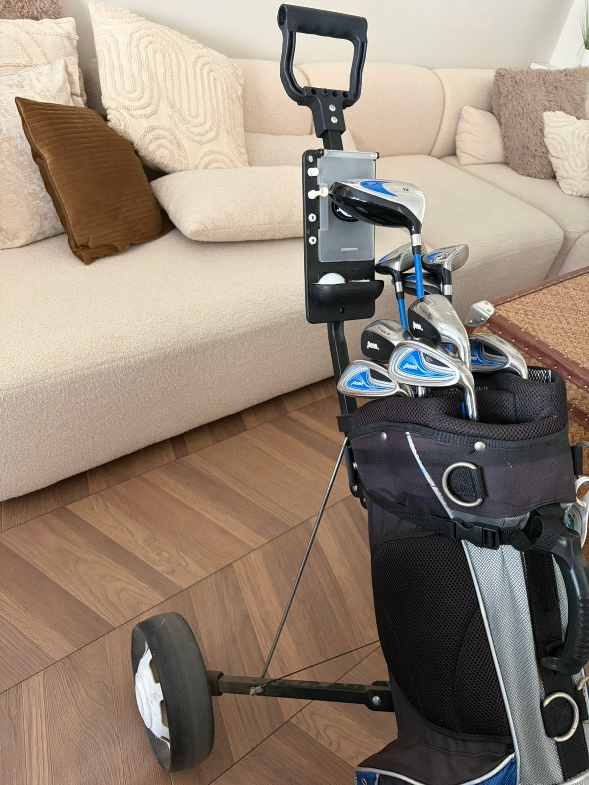 Complete Penn Golfset + Golftrolley – Ideaal voor beginners!, Ophalen, Gebruikt, Set