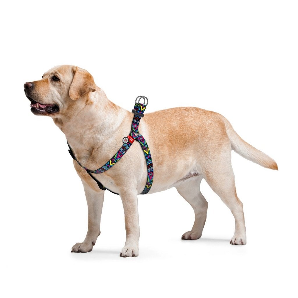 WAUDOG Indie Harnas / Hondentuig Borst 60-90 cm KOOPJE!!!, WAUDOG, Ophalen of Verzenden, Nieuw, Hondentuig