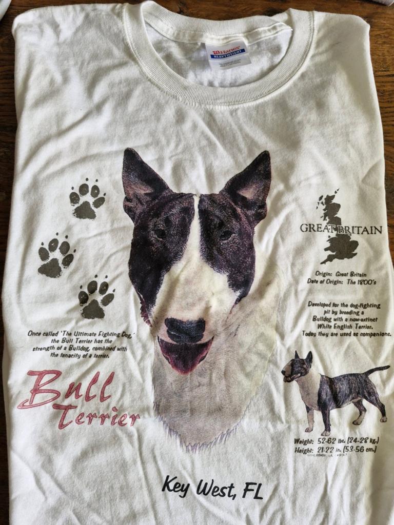 Hanes Bull Terrier T-shirt - Maat L - nieuw, Maat 52/54 (L), Wit, Nieuw, Ophalen of Verzenden
