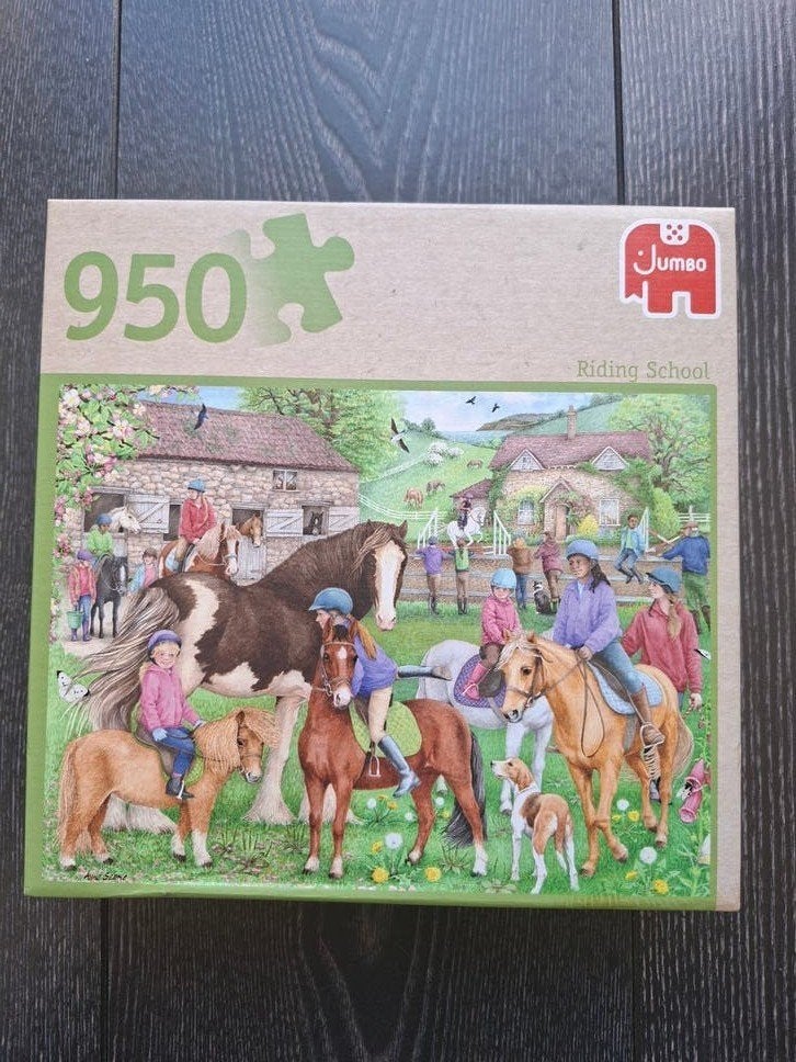 Jumbo Riding School Puzzel 950 Stukjes, Ophalen, Meer dan 50 stukjes, Zo goed als nieuw, 6 jaar of ouder