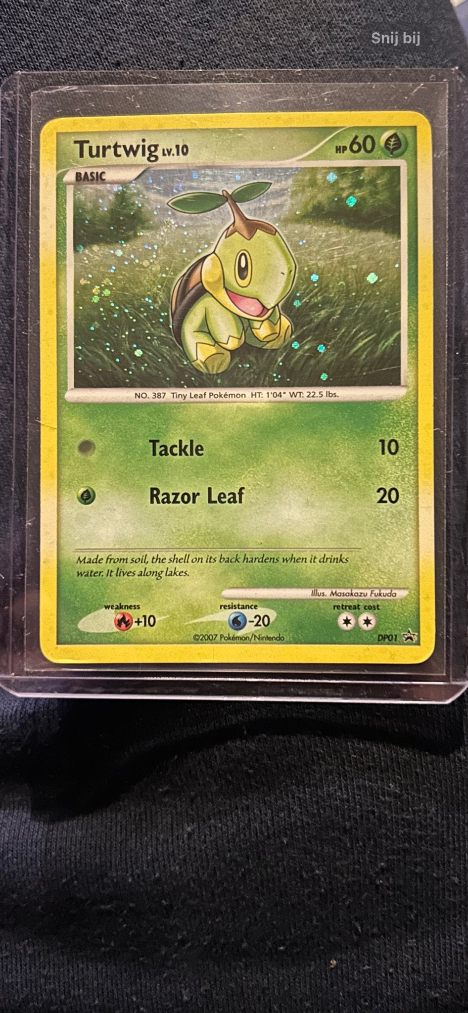 Turtwig Holo DP01 Pokémon Kaart, Ophalen of Verzenden, Gebruikt, Losse kaart, Foil