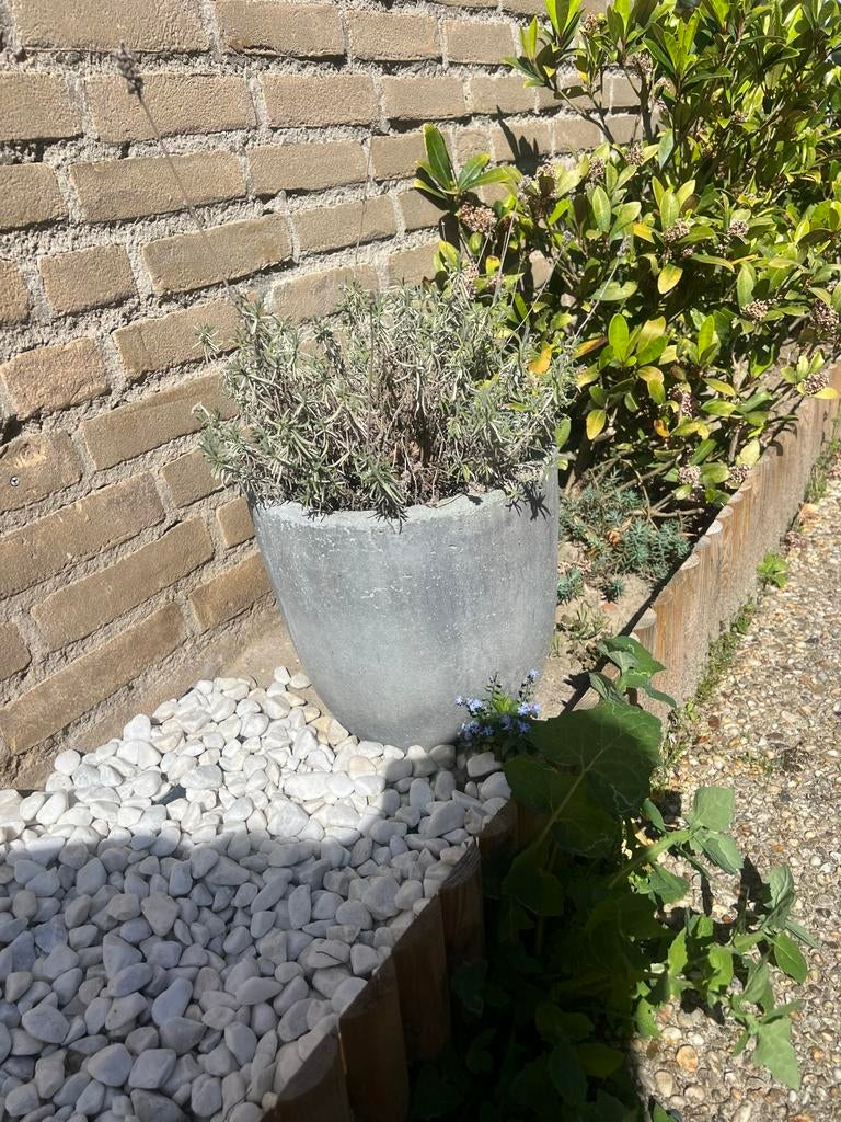 5 plantenbakken: 3 vierkante en 2 ronde, Tuin en Terras, Bloembakken en Plantenbakken, Ophalen, Gebruikt, Balkon, Minder dan 60 cm