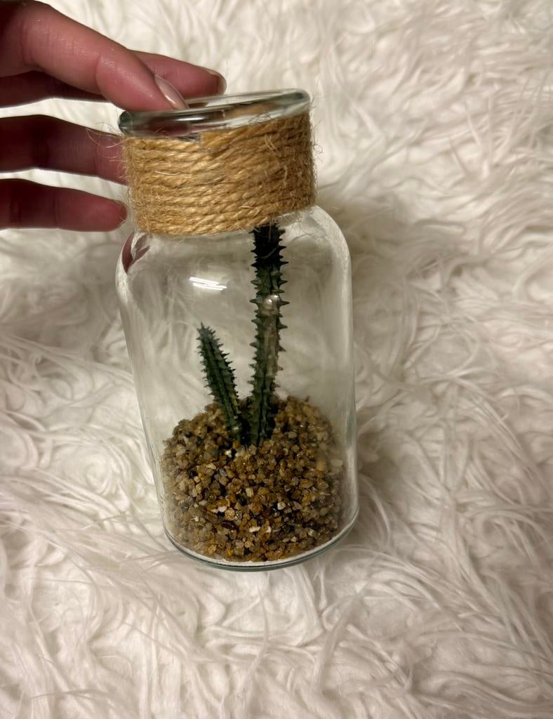 Glazen pot met nep plantje erin, Ophalen of Verzenden, Nieuw