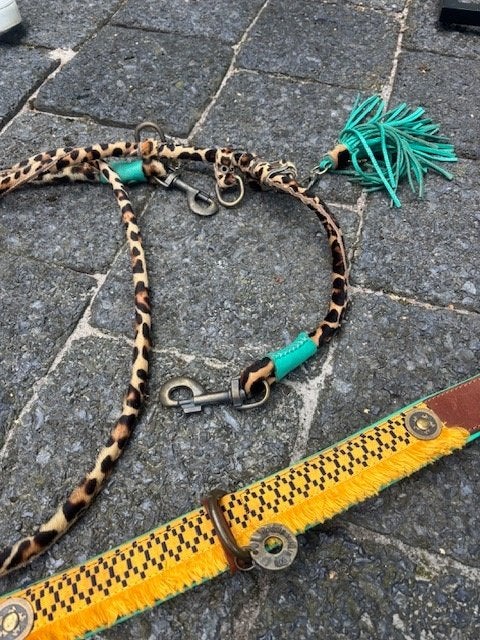 Luxe hondenhalsband + riem, Ophalen of Verzenden, Zo goed als nieuw