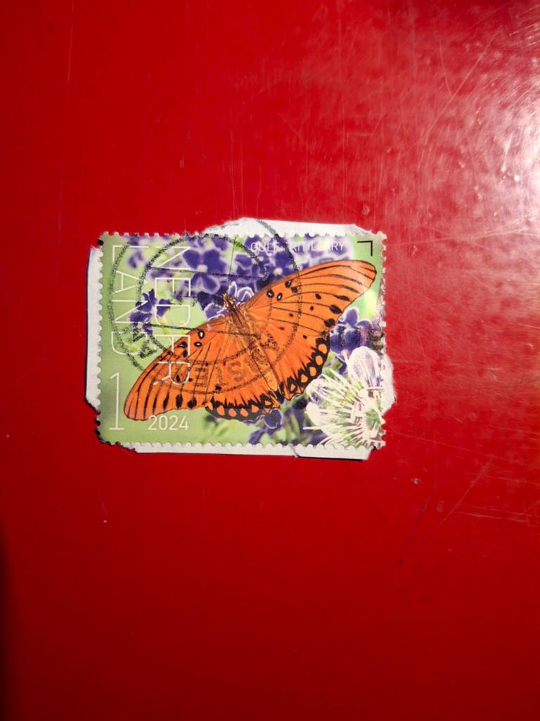 Nederland 2024  nvph4183   Bonaire, Ophalen of Verzenden, Postfris
