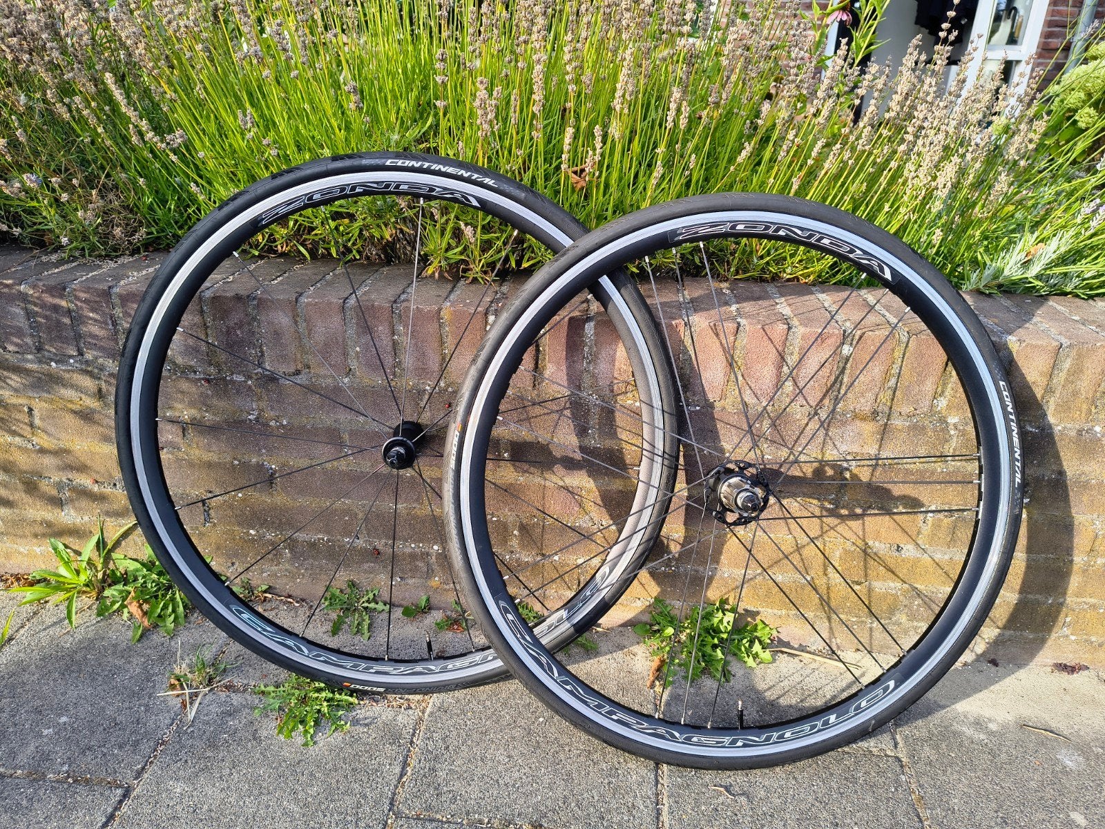 Campagnolo Zonda Wielset, Wiel, Campagnolo, Ophalen of Verzenden, Aluminium