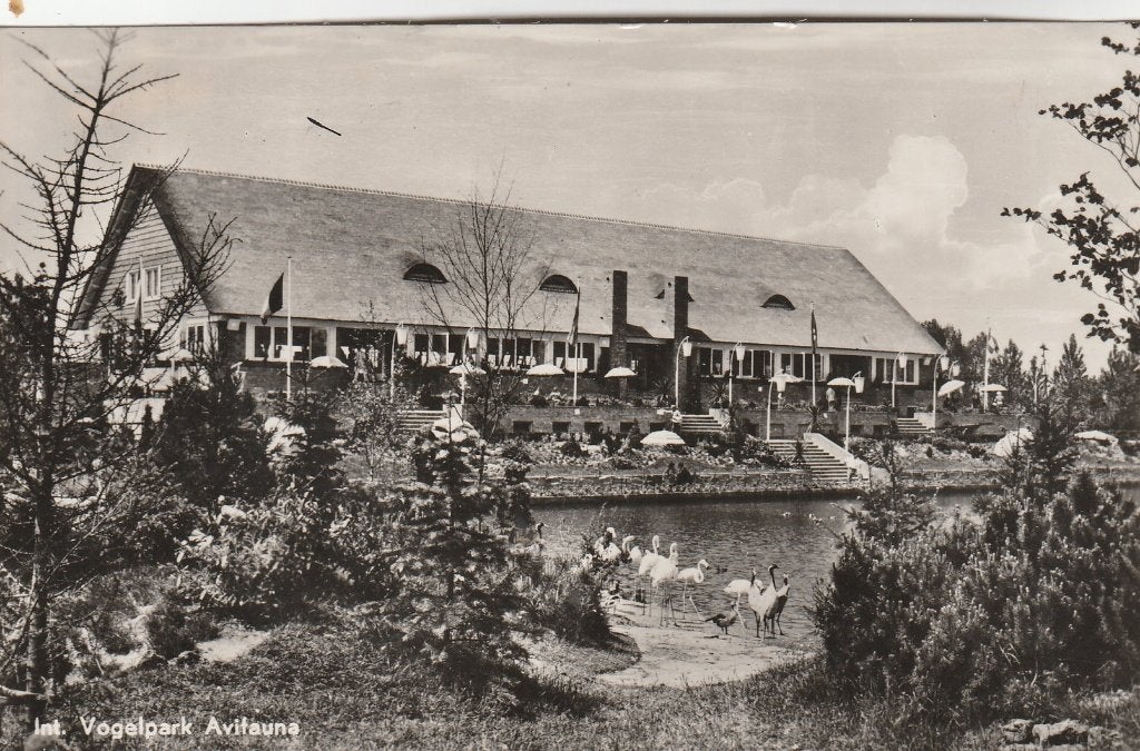 alphen aan den rijn- avifauna, Ophalen of Verzenden, Voor 1920, Zuid-Holland