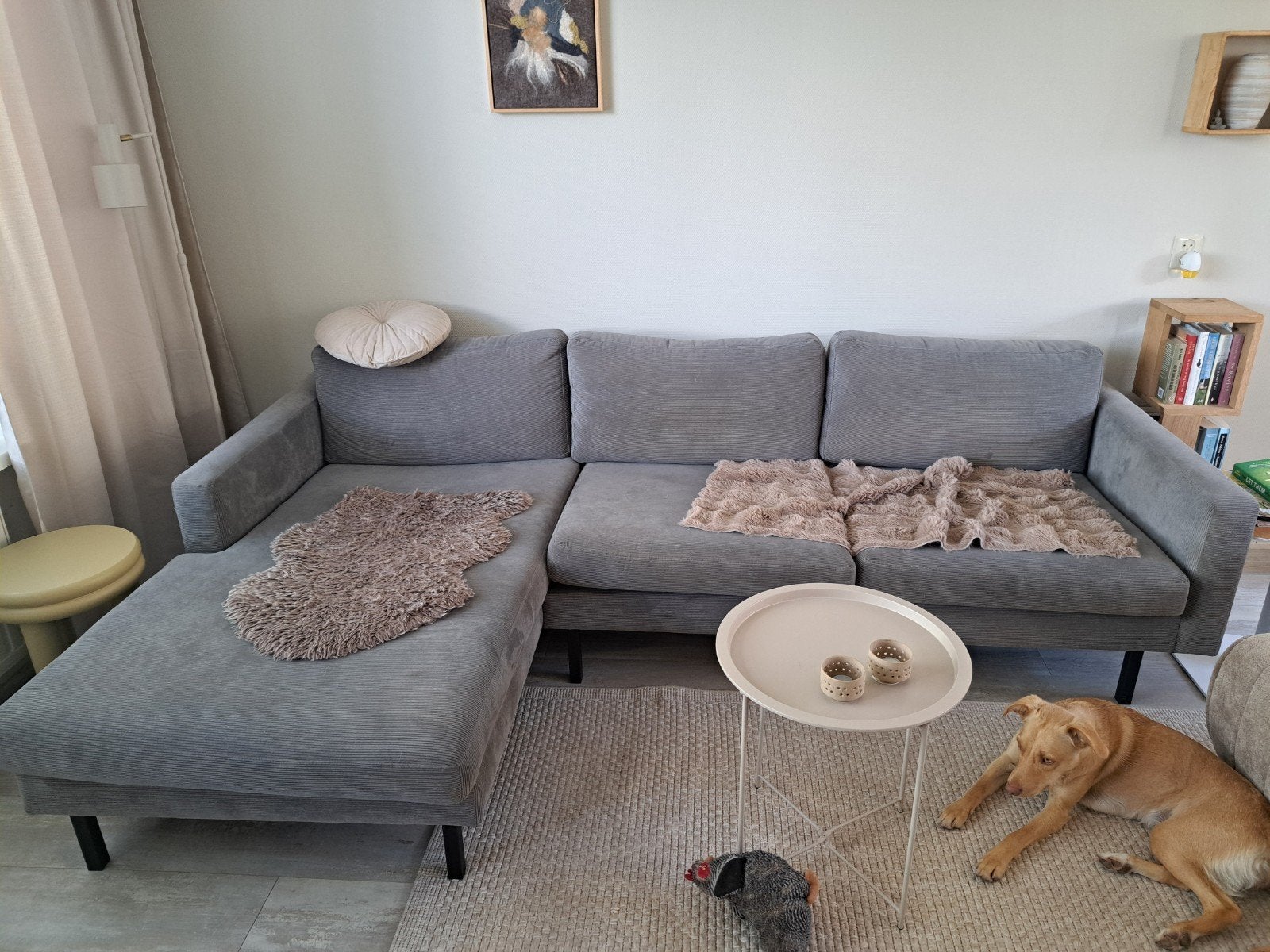 Grijze loungebank van karwei, Ophalen, Gebruikt
