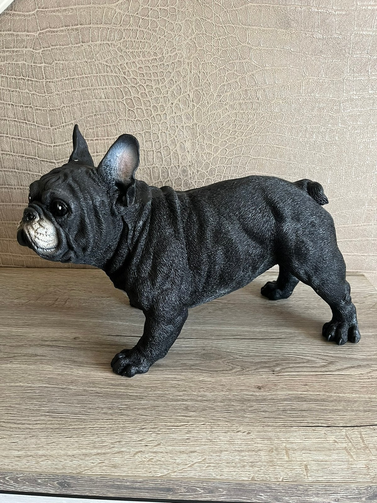 bulldog (zwart) 33hoog 45breed/Nieuw!, Ophalen, Nieuw, Dier
