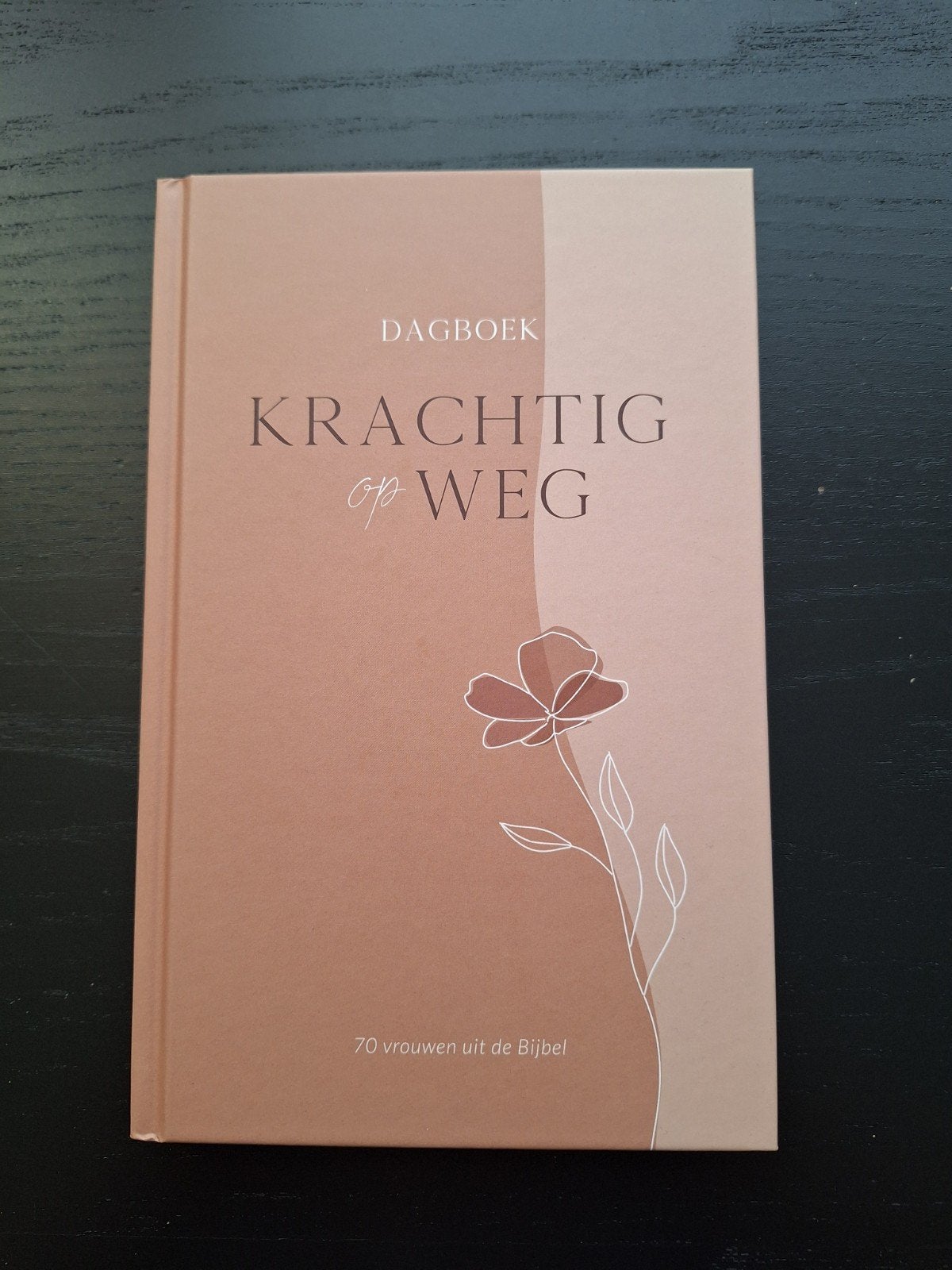 Dagboek: Krachtig op Weg - 70 vrouwen uit de Bijbel, Ophalen of Verzenden, Nieuw, Overige onderwerpen, Overige typen