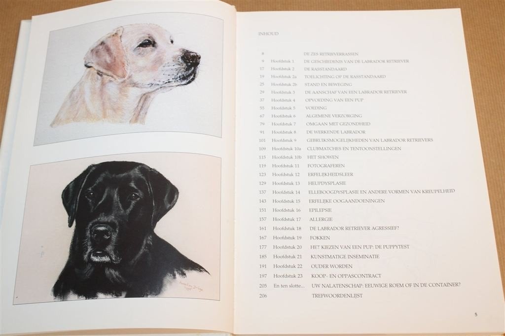De Labrador Retriever — Verzorging & Training Compleet, Ophalen of Verzenden, Zo goed als nieuw, Honden