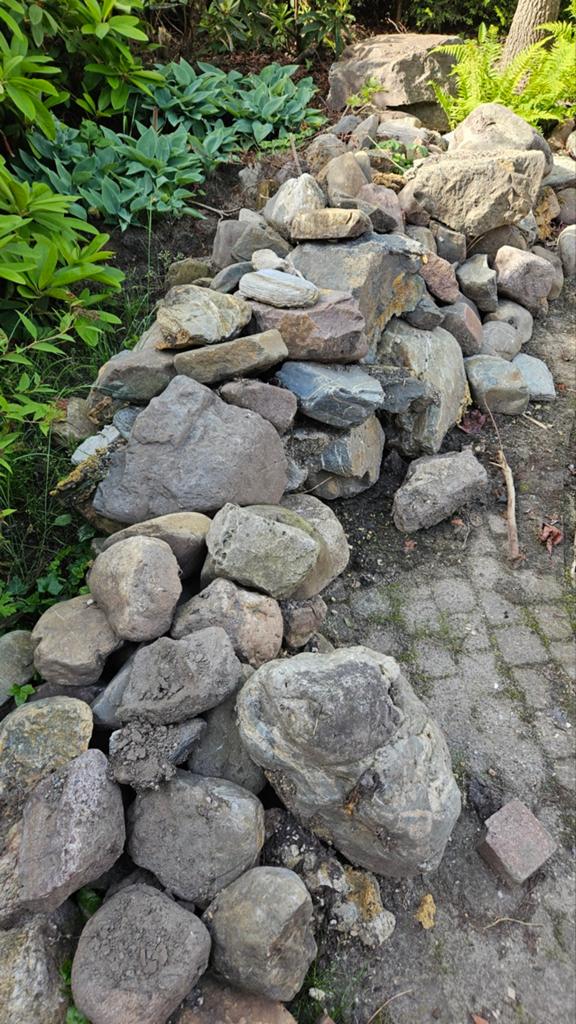 Natuurlijke rotsen en keien voor tuin. Gratis af te halen, Tuin en Terras, Overige materialen, Gebruikt, Ophalen of Verzenden