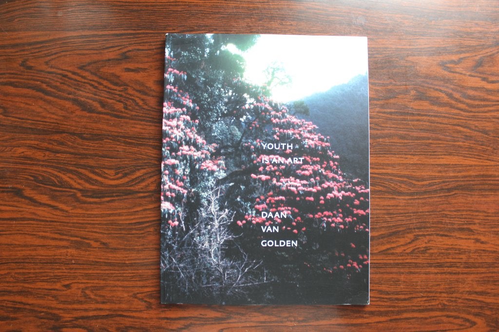 Daan van Golden - Youth is an art, Ophalen of Verzenden, Gelezen, Fotografen