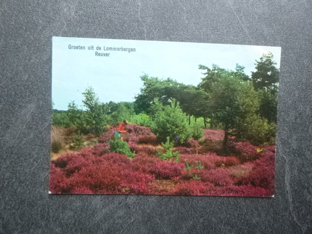 Reuver, de Lommerbegen, Verzenden, 1980 tot heden, Gelopen, Noord-Brabant