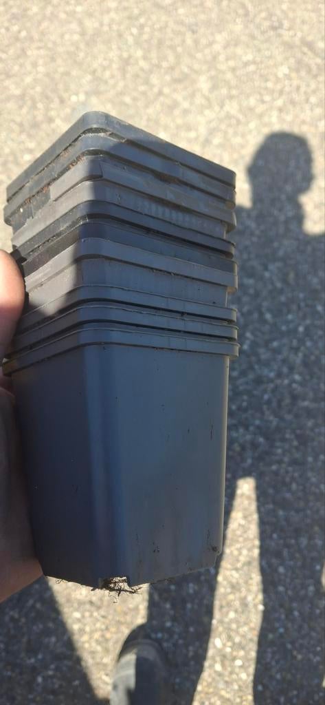 Rond de 1000 stuks p9 potjes beschikbaar, Kunststof, Gebruikt, Vierkant, Ophalen of Verzenden