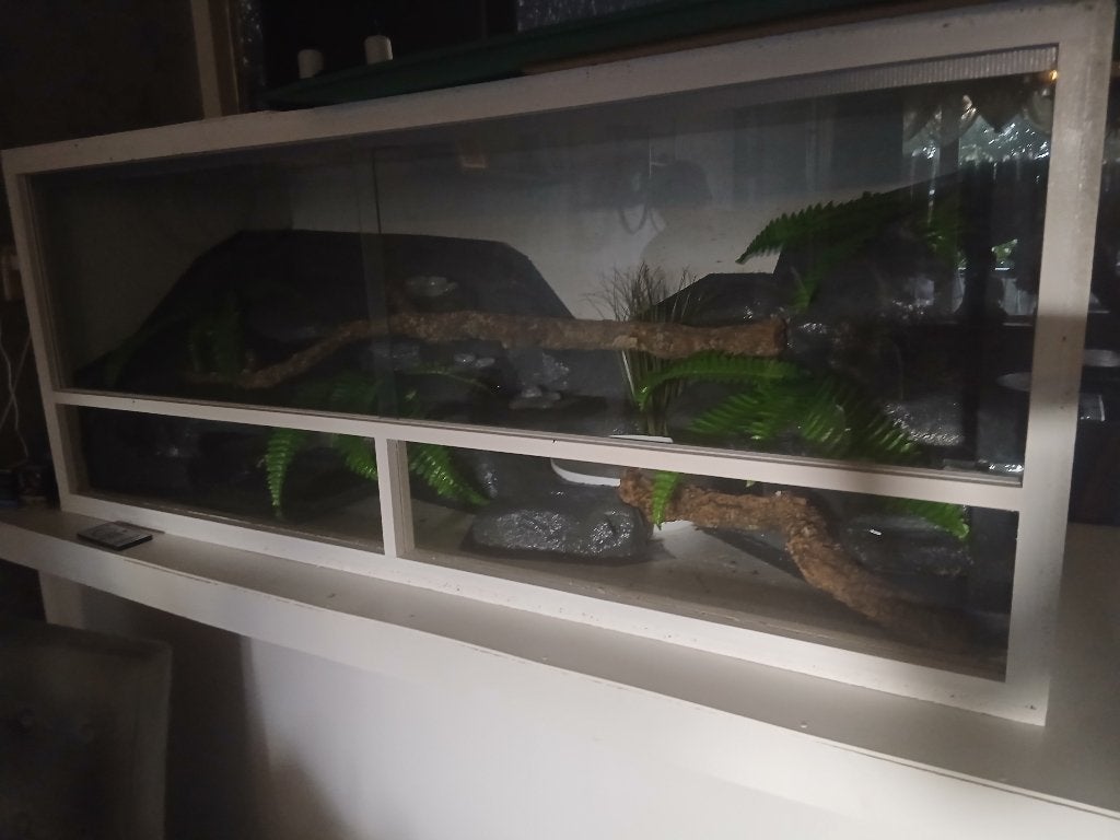 Terrarium 150x60x60, Ophalen, Nieuw, Terrarium of Paludarium