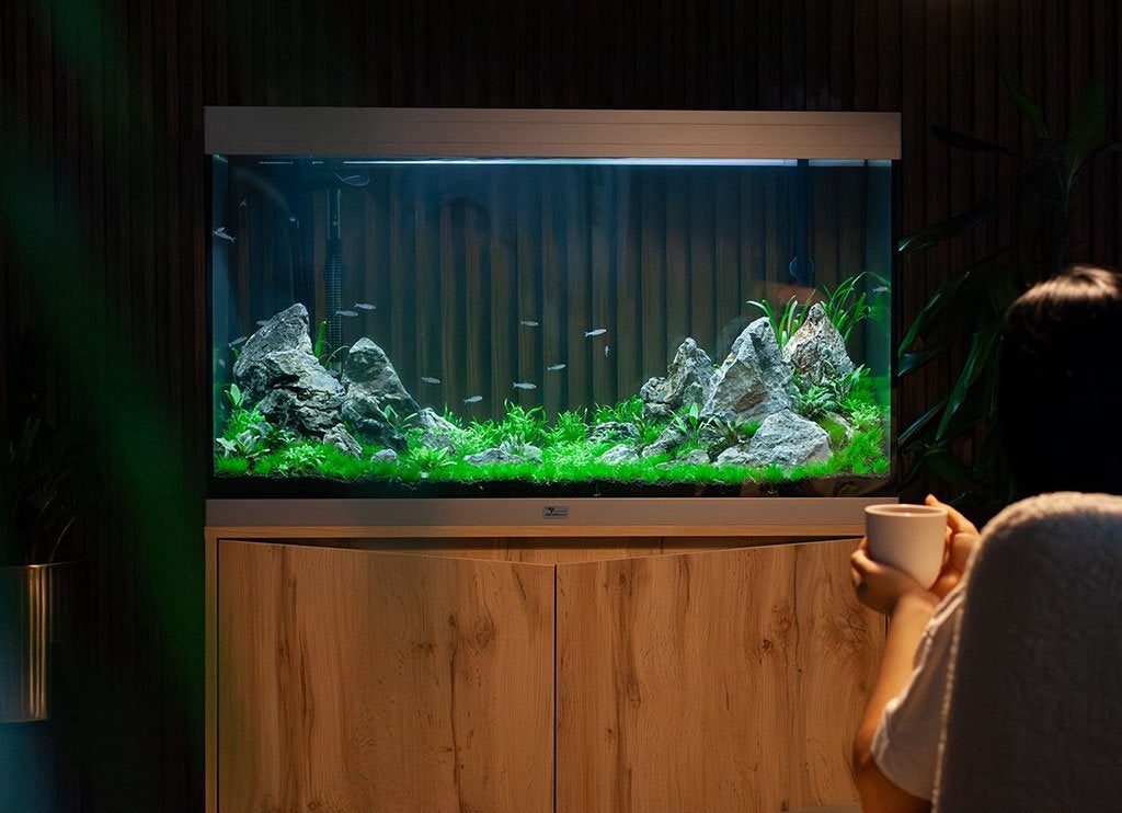 Gezocht: gratis aquarium, Ophalen of Verzenden, Zo goed als nieuw, Leeg aquarium