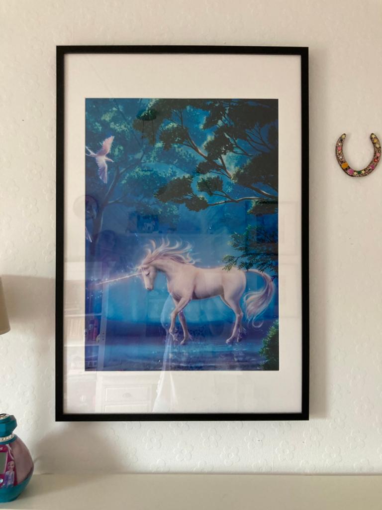 Eenhoorn op canvas groot formaat, Ophalen of Verzenden, Zo goed als nieuw, Wanddecoratie
