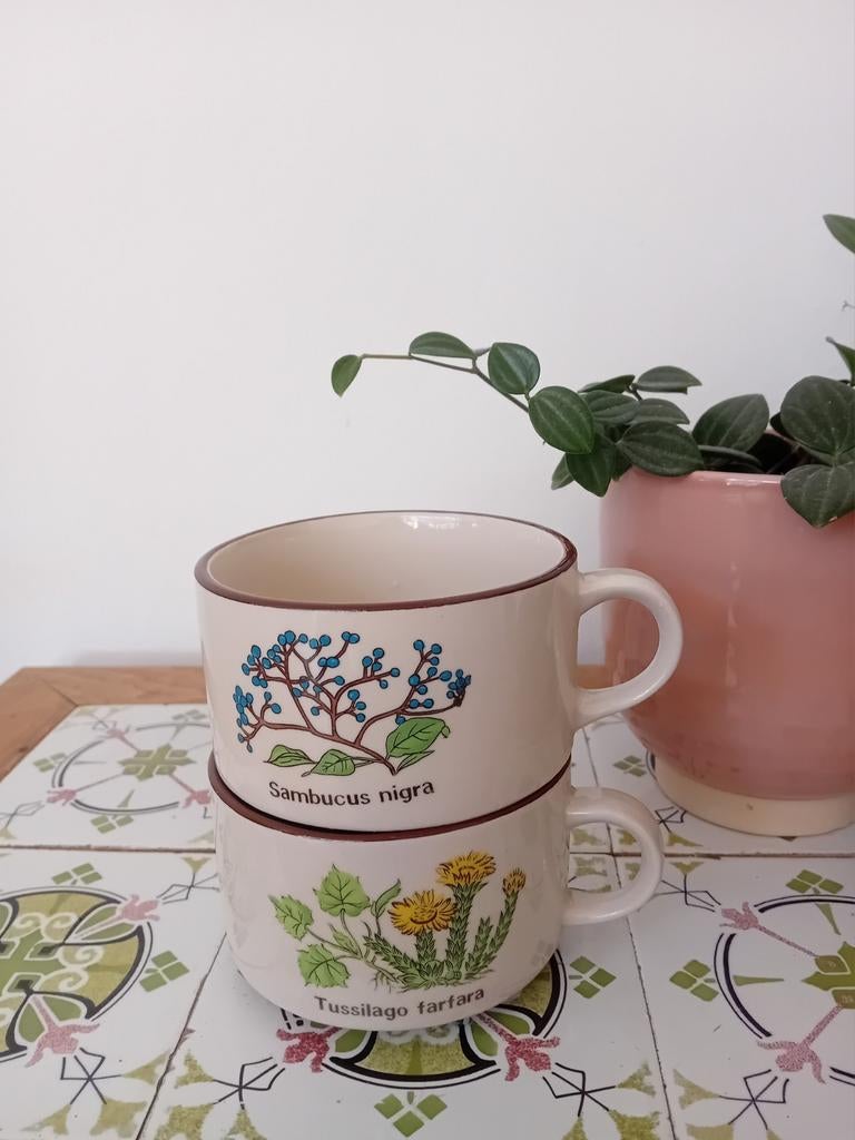 Vintage Botanische Mokken, Ophalen of Verzenden