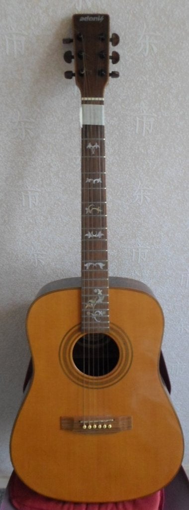 Adonis GW493, Ophalen, Gebruikt, Akoestische gitaar