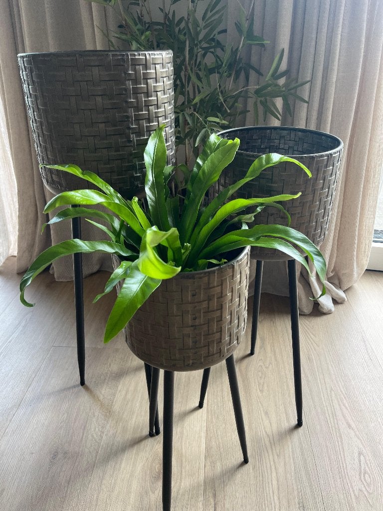 Plantenbakken op pootjes, Ophalen, Gebruikt, Minder dan 60 cm, Rond