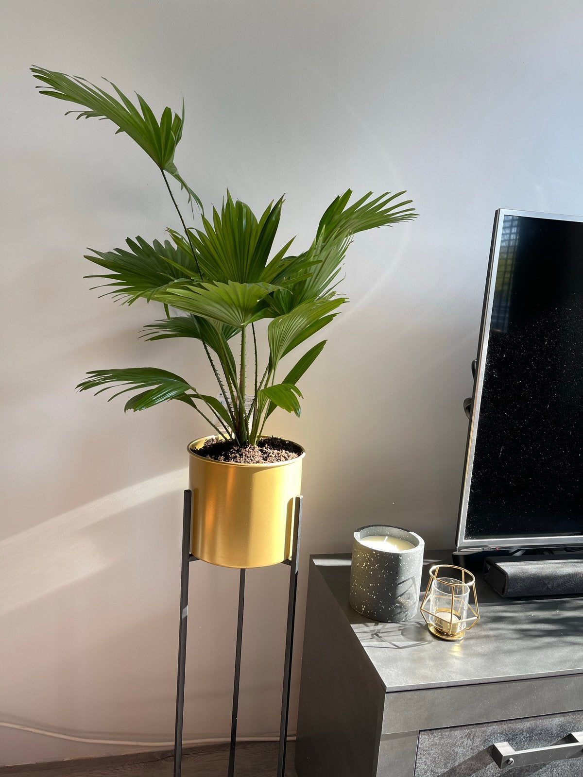 Gouden bloempot met zwart metalen standaard, Rond, Binnen, Zo goed als nieuw, Metaal
