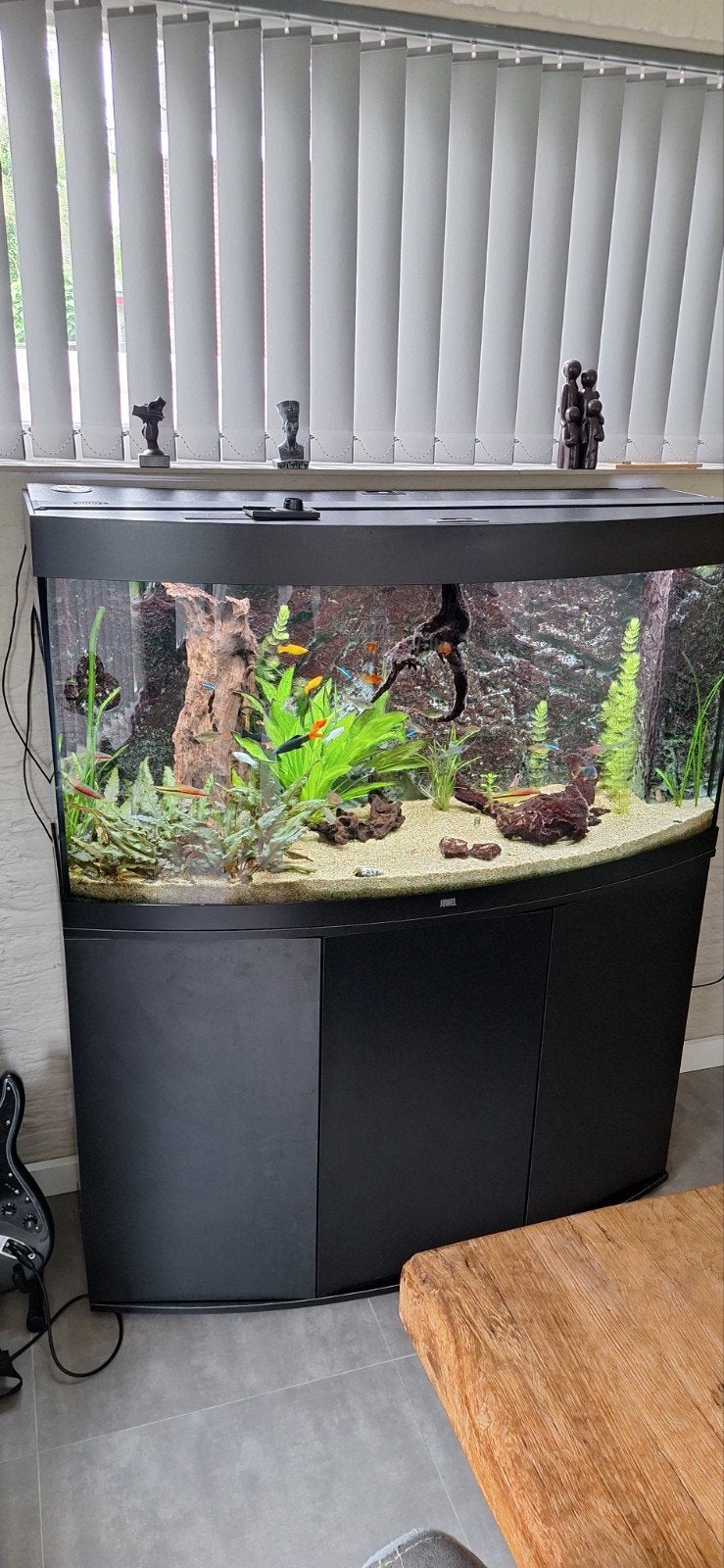 Juwel vision 260, Dieren en Toebehoren, Ophalen, Gebruikt, Inclusief vissen, Gevuld zoetwateraquarium