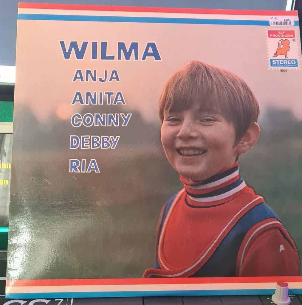 Wilma Anita Berry Top LP, Complilatie, Ophalen of Verzenden, Gebruikt, 12 inch