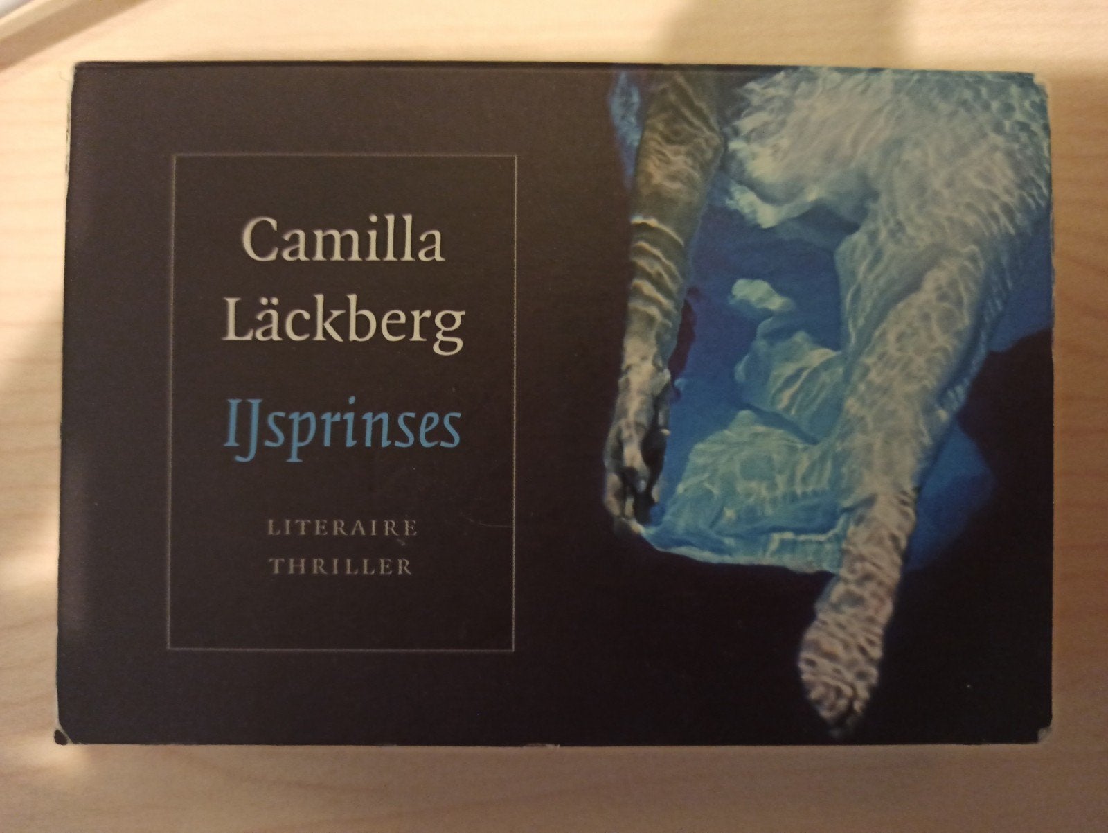 Dwarsligger 30 Ijsprinses - Camilla Läckberg (Thriller), Ophalen of Verzenden, Gelezen, Camilla Läckberg, Scandinavië
