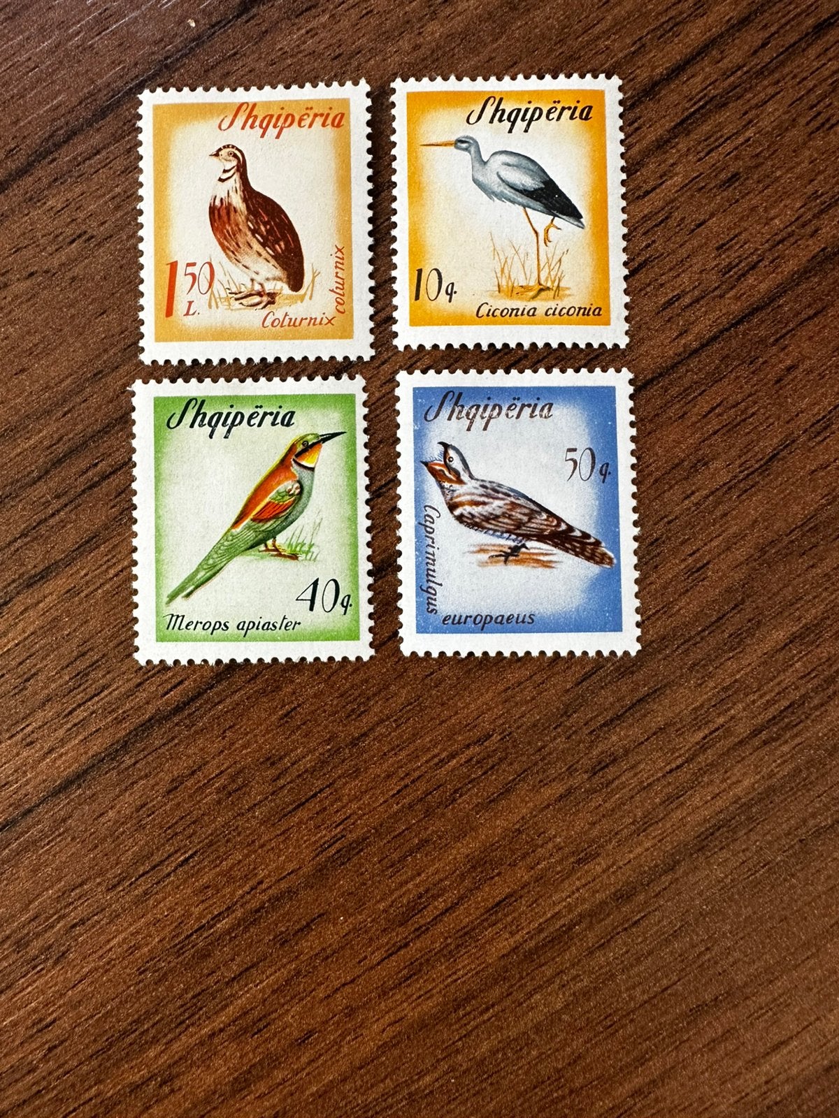 Albanië 1965 vogels ongebruikt postzegels, Ophalen of Verzenden, Overige landen