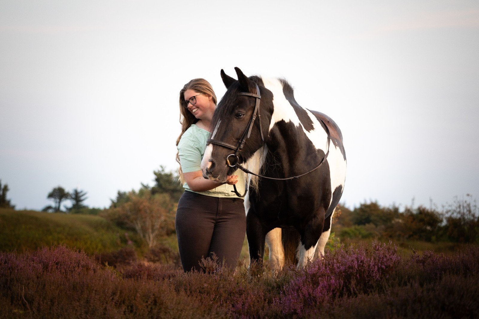 Bijrijdpaard gezocht/verzorger aangeboden, Dieren en Toebehoren, Ophalen, Nieuw