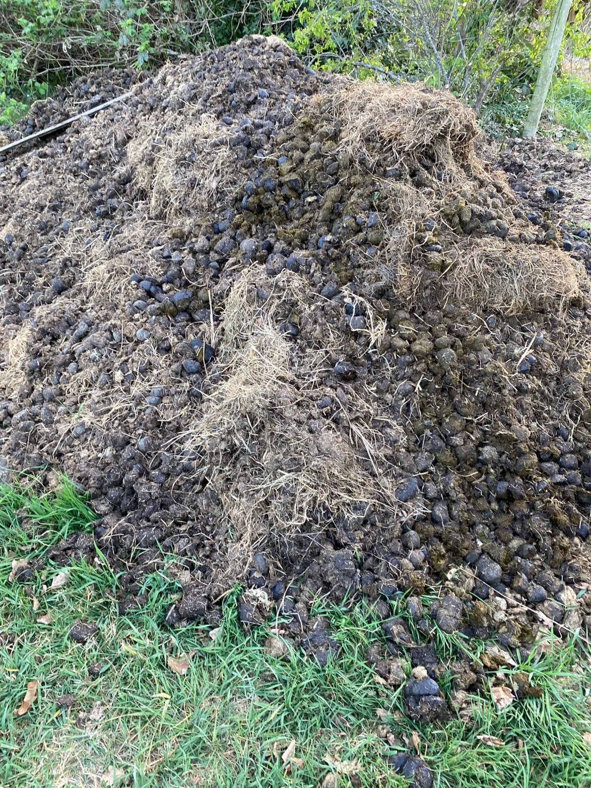 Paardenmest voor tuin, moestuin, rozen. Goed bereikbaar!, Tuin en Terras, Ophalen