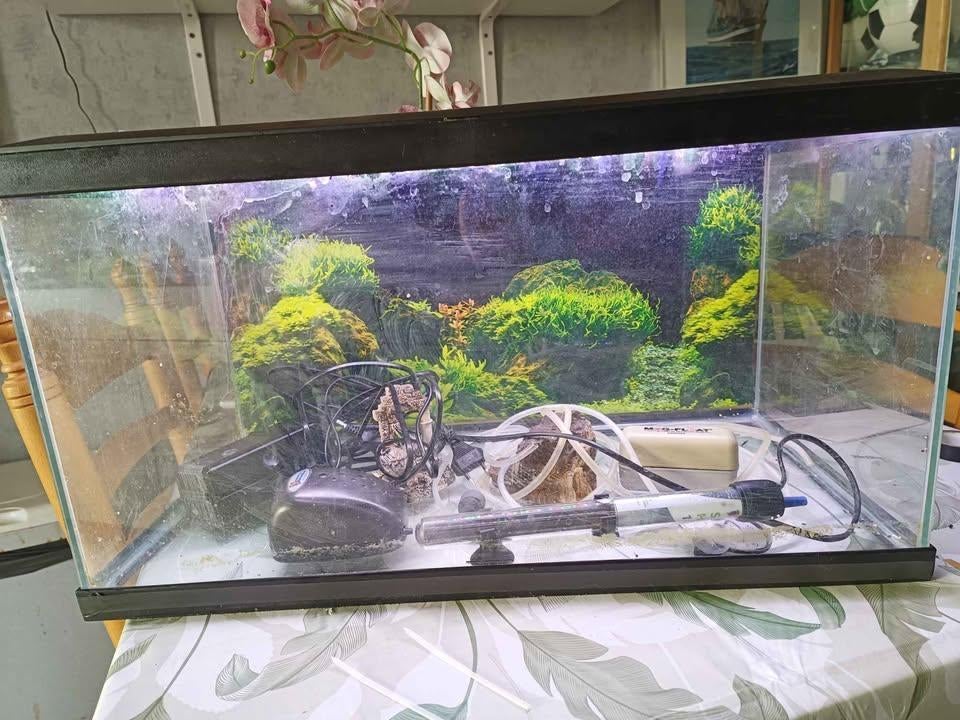 aqurium 60x30x30 compleet met led, Ophalen, Gebruikt, Leeg aquarium, Superfish