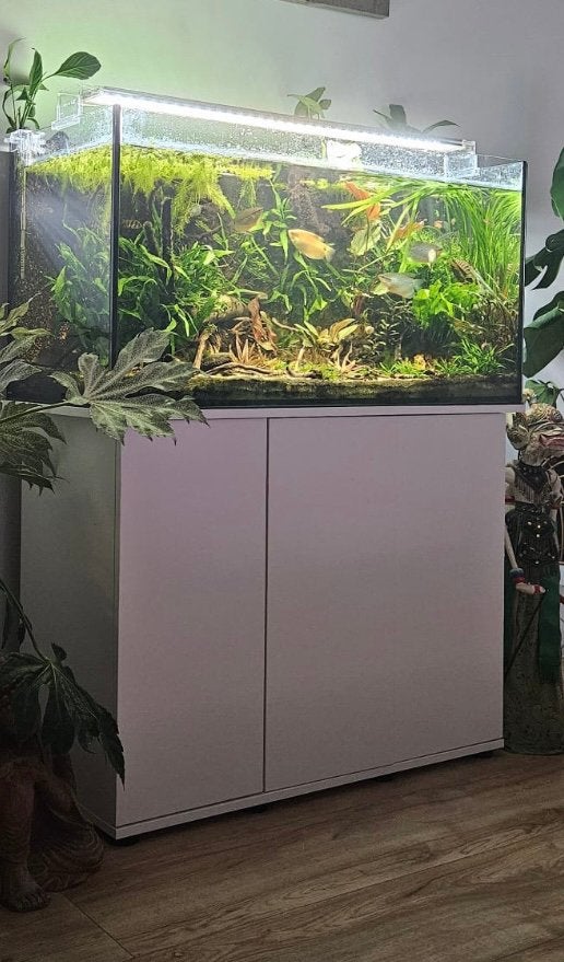 Leeg aquarium met kast te koop, Ophalen, Gebruikt, Leeg aquarium, Juwel