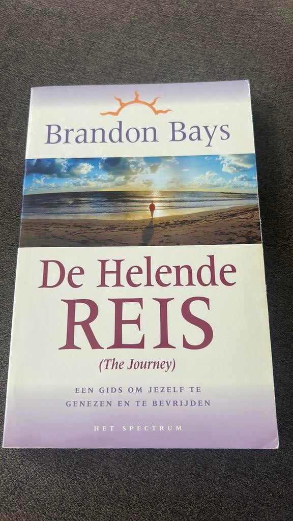 Brandon Bays - De helende reis, Ophalen of Verzenden, Zo goed als nieuw, Brandon Bays