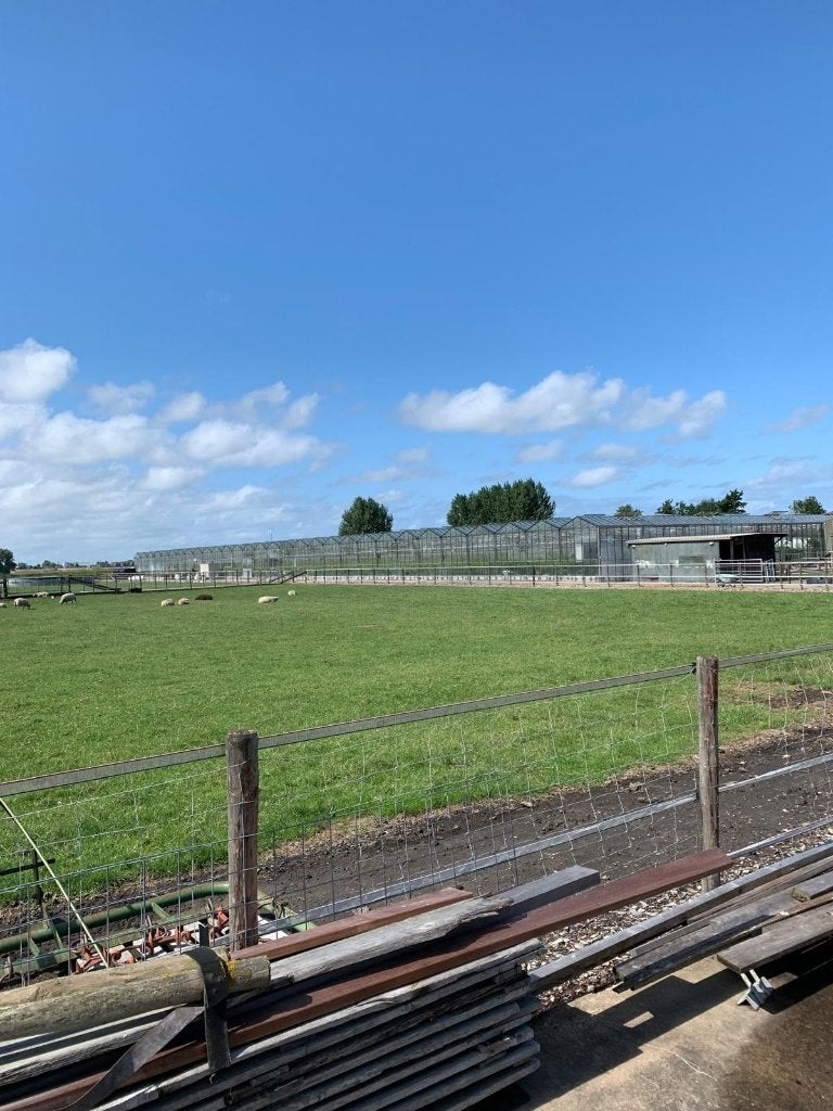 Opslagruimte te huur medio april 2027 in Roelofarendsveen, 3000 m², Huur, Opslag of Loods