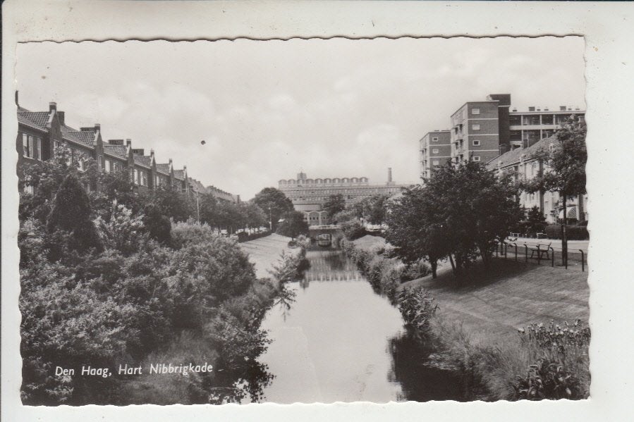 Den Haag, Hart Nibbrigkade, Verzamelen, Ansichtkaarten | Nederland, Ophalen of Verzenden, 1960 tot 1980, Ongelopen, Zuid-Holland