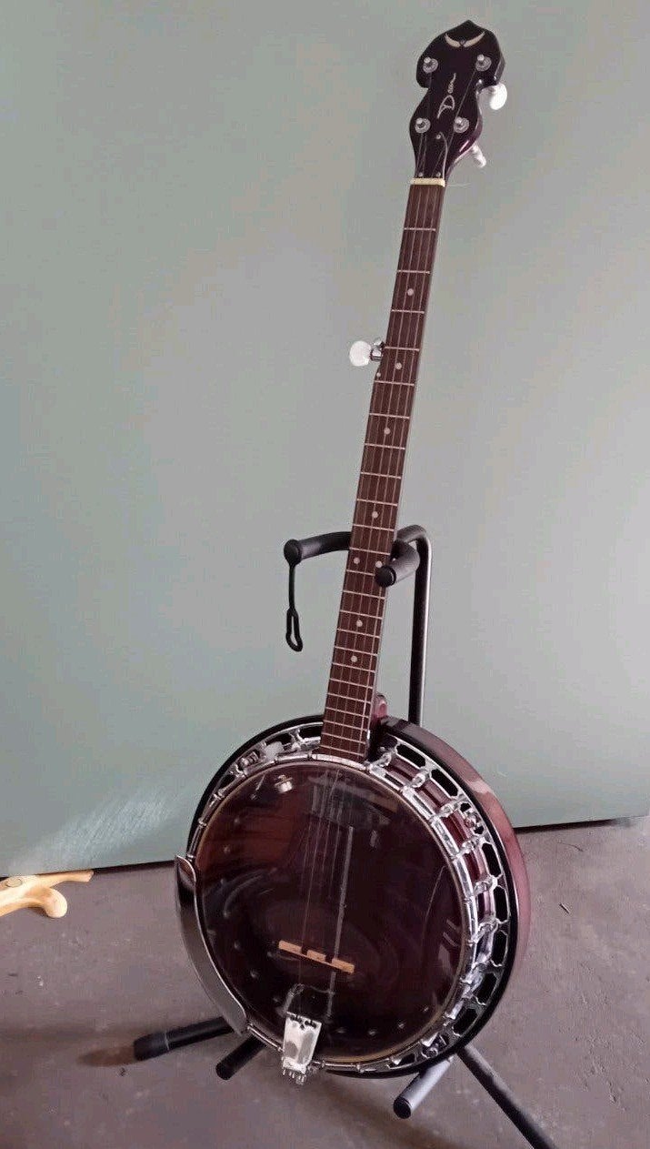 Dean Backwoods 2 Pro 5 string Acoustic Electric Banjo, Ophalen, Gebruikt, 5-snarige of Bluegrassbanjo