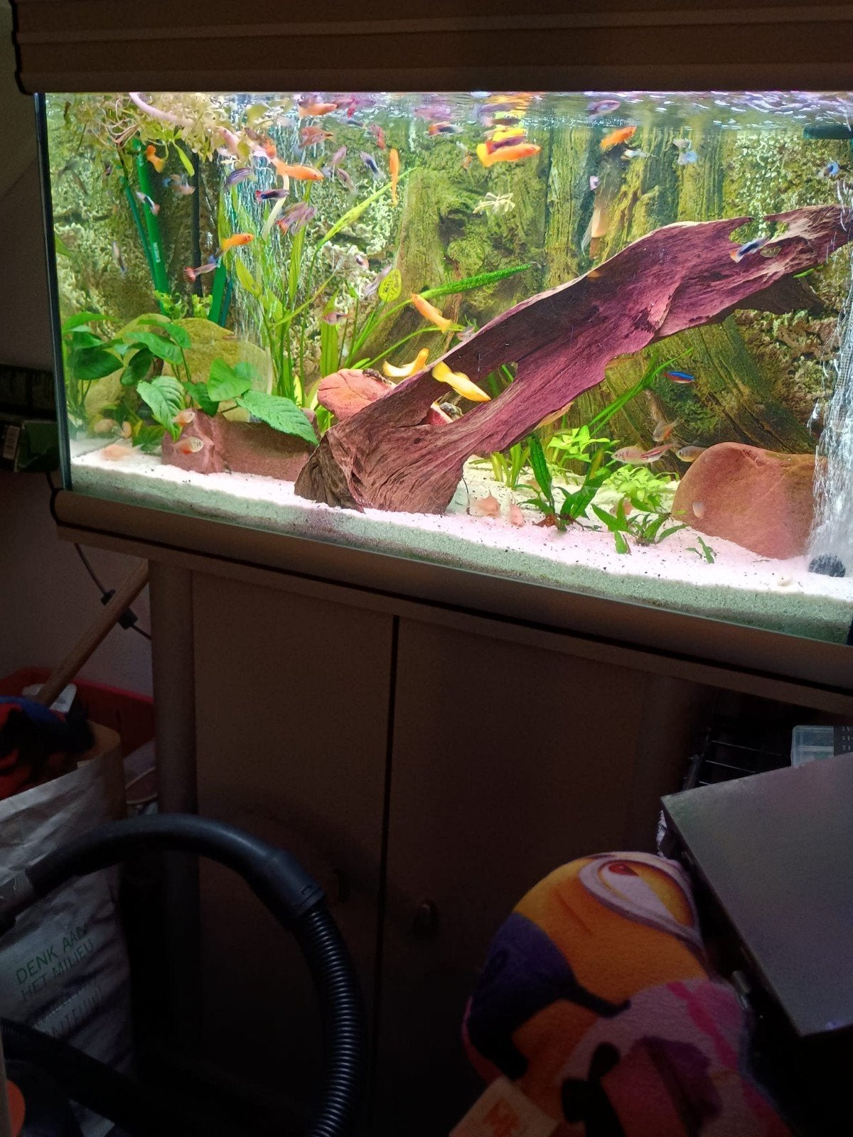 te koop compleet aquarium, Ophalen, Gebruikt, Aquatlantis, Leeg aquarium