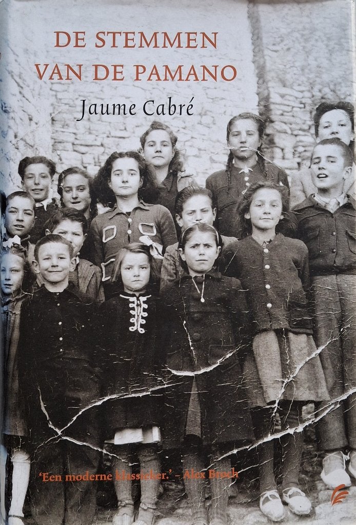 Jaume Cabré - De stemmen van de Pamano, Boeken, Romans, Gelezen, Europa overig, Ophalen of Verzenden