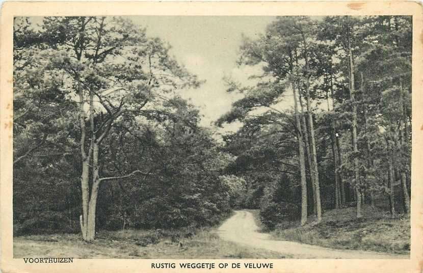 380-894-003 Voorthuizen, Verzenden, Voor 1920, Gelderland