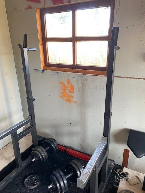 haltersteun/squatrek/dipstation, Sport en Fitness, Ophalen, Zo goed als nieuw, Krachtstation