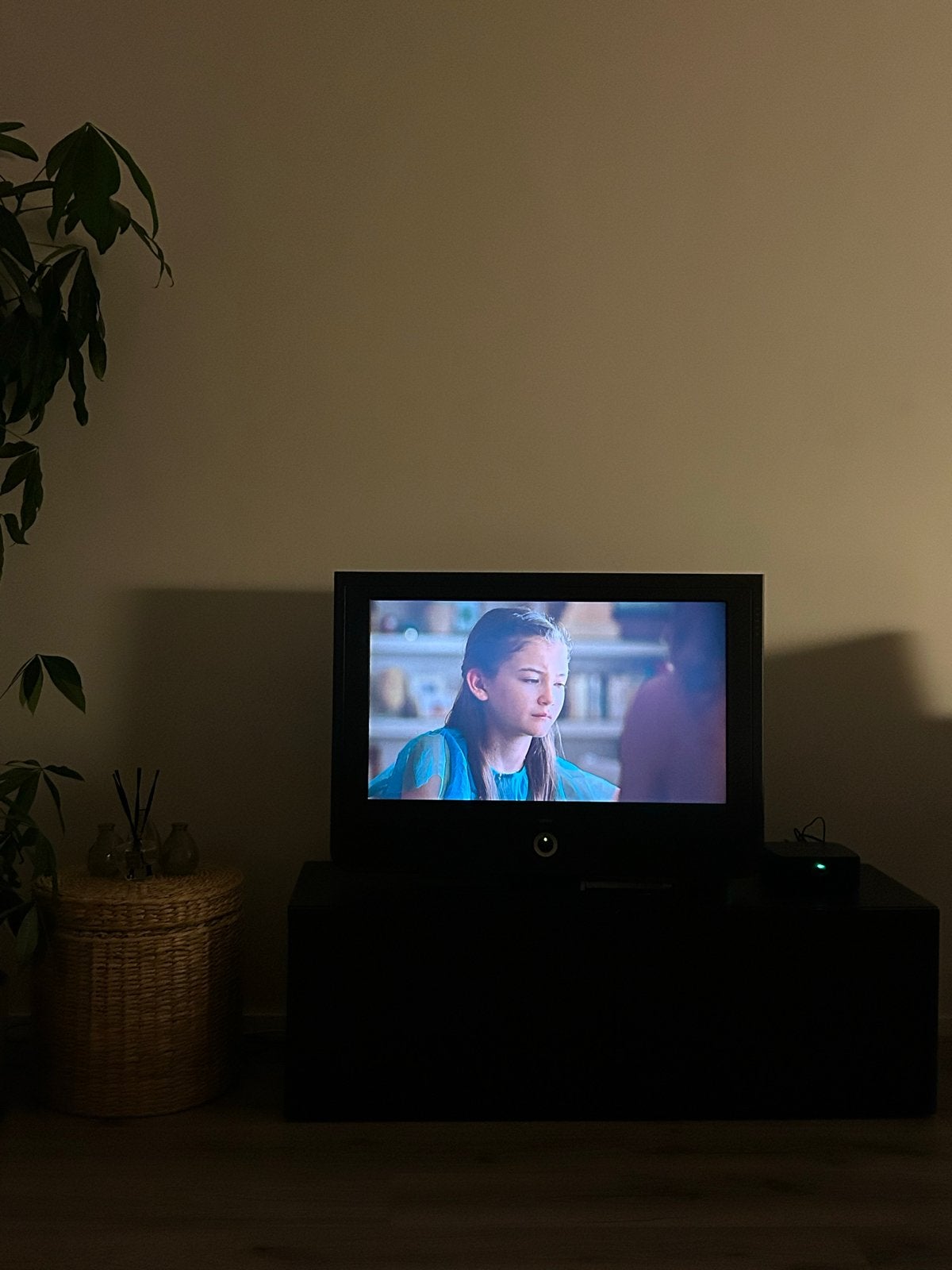 Loewe TV - Gebruikt, Gebruikt, 50 Hz, 60 tot 80 cm, Ophalen