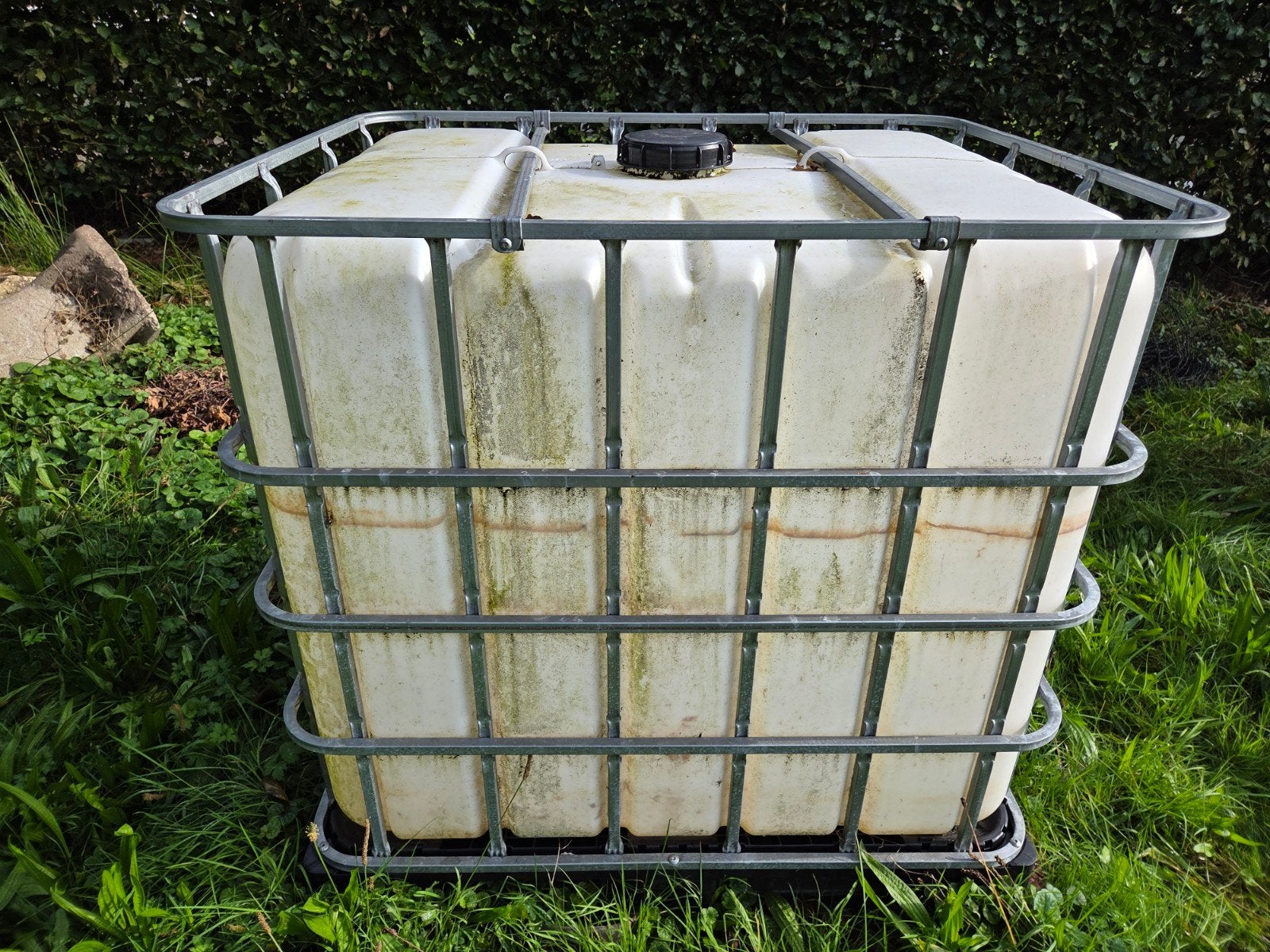 watertank 1000 liter, Ophalen of Verzenden, Gebruikt, Kunststof, Met kraantje