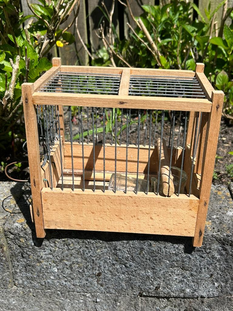 Show kooitjes vogel, Dieren en Toebehoren, Ophalen of Verzenden, Zo goed als nieuw, Hout, Vogelkooi
