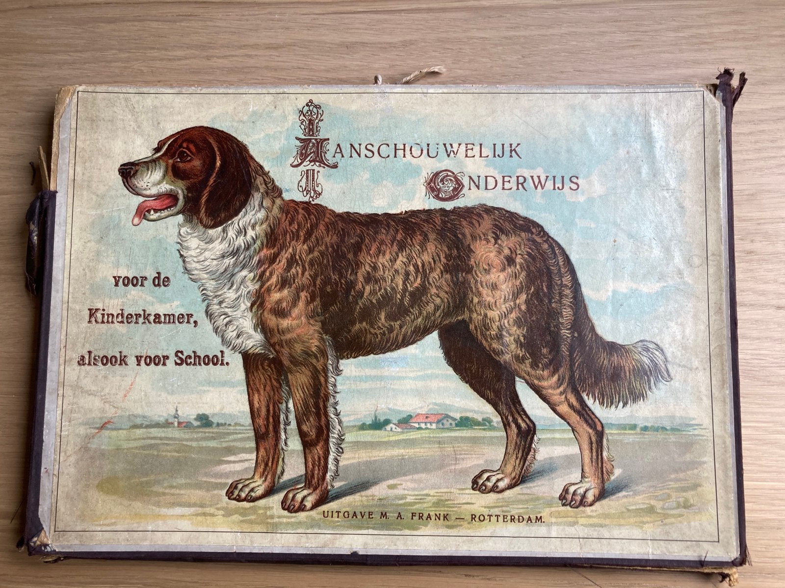 Zeldzaam: complete set aanschouwelijk onderwijs dieren, Ophalen of Verzenden, Geschiedenis